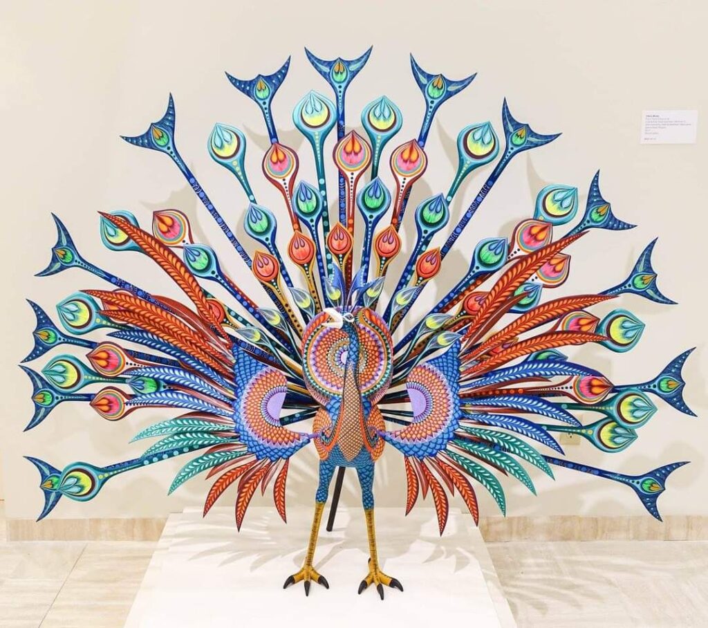 pavo